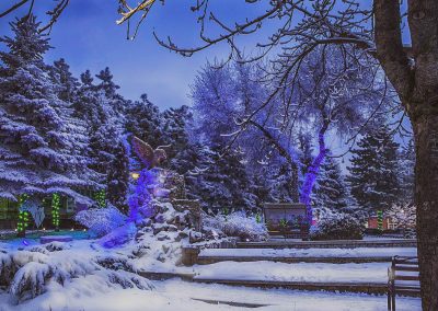 Территория в санатории Лесной в городе Железноводске - фотография