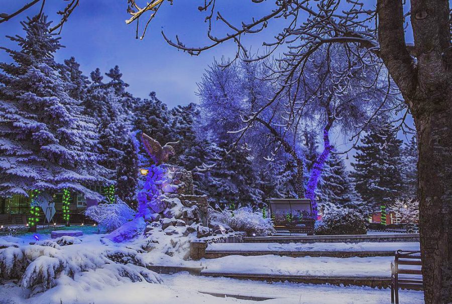 Территория в санатории Лесной в городе Железноводске - фотография