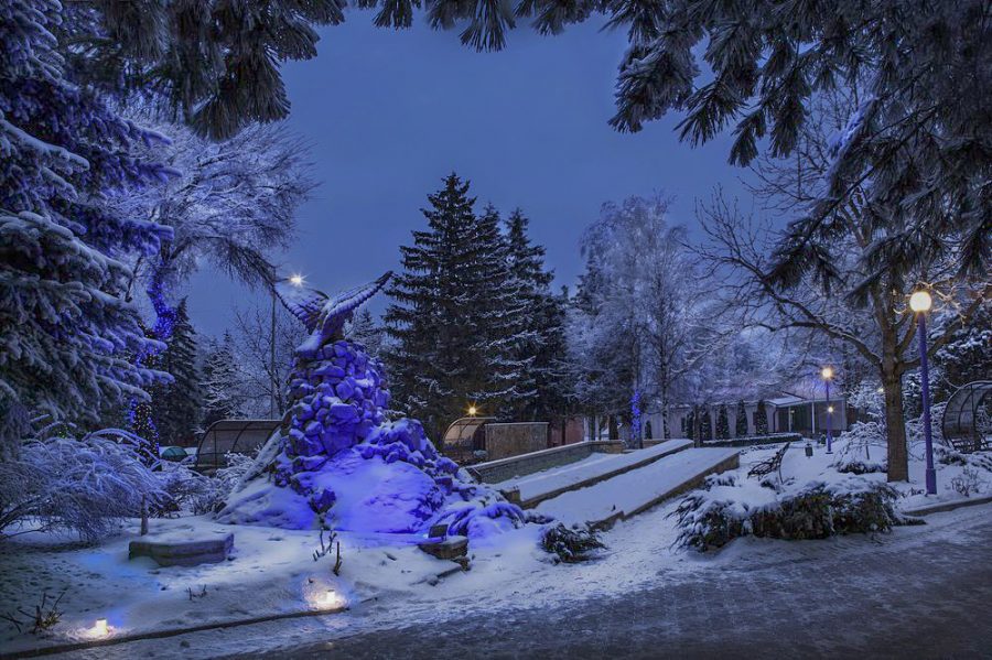 Территория в санатории Лесной в городе Железноводске - фотография