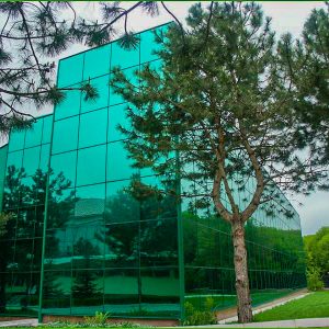 Санаторий Лесной в городе Железноводске - фотография