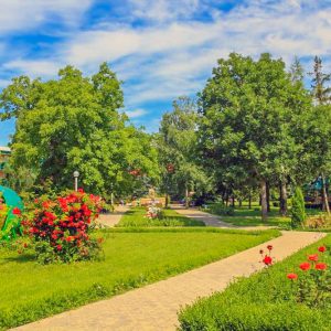 Территория в санатории Лесной в городе Железноводске - фотография