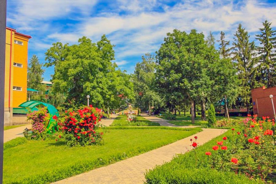 Территория в санатории Лесной в городе Железноводске - фотография