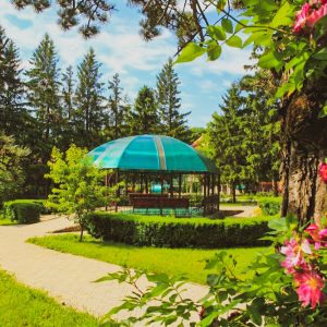 Территория в санатории Лесной в городе Железноводске - фотография