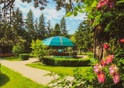 Территория в санатории Лесной в городе Железноводске - фотография