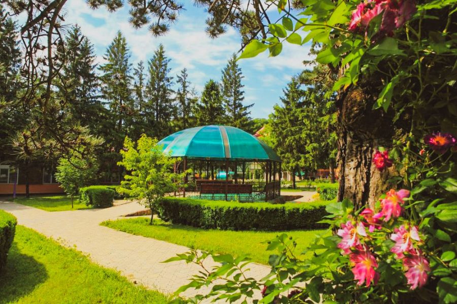 Территория в санатории Лесной в городе Железноводске - фотография
