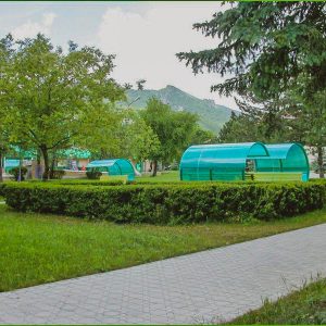 Территория в санатории Лесной в городе Железноводске - фотография