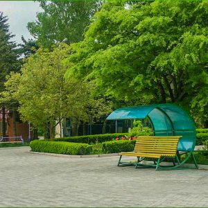 Территория в санатории Лесной в городе Железноводске - фотография