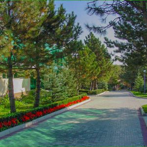 Территория в санатории Лесной в городе Железноводске - фотография