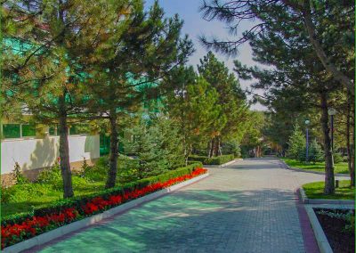 Территория в санатории Лесной в городе Железноводске - фотография