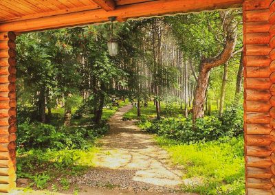 Территория в санатории Лесной в городе Железноводске - фотография