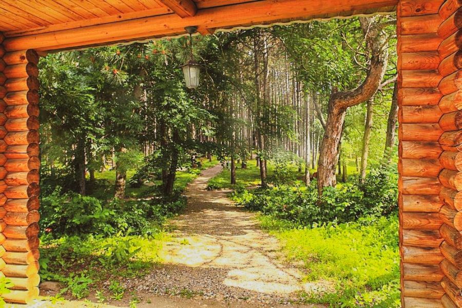 Территория в санатории Лесной в городе Железноводске - фотография