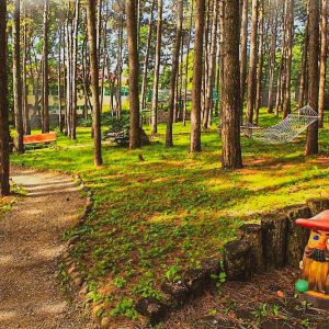 Территория в санатории Лесной в городе Железноводске - фотография
