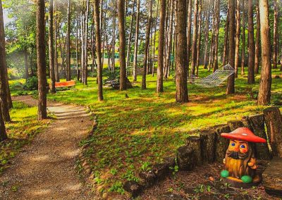 Территория в санатории Лесной в городе Железноводске - фотография