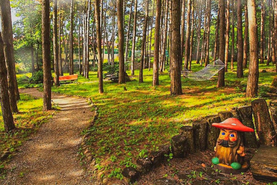 Территория в санатории Лесной в городе Железноводске - фотография