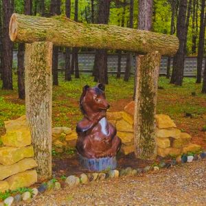 Территория в санатории Лесной в городе Железноводске - фотография