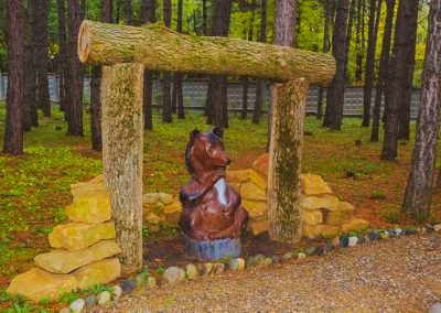Территория в санатории Лесной в городе Железноводске - фотография