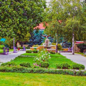 Территория в санатории Лесной в городе Железноводске - фотография