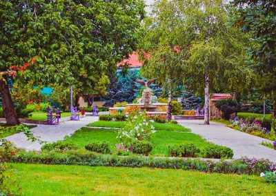 Территория в санатории Лесной в городе Железноводске - фотография