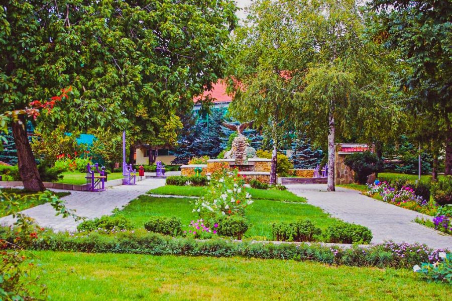 Территория в санатории Лесной в городе Железноводске - фотография