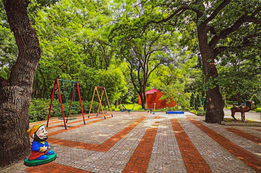 Территория в санатории Лесной в городе Железноводске - фотография