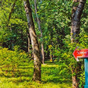 Территория в санатории Лесной в городе Железноводске - фотография