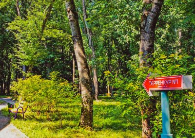 Территория в санатории Лесной в городе Железноводске - фотография