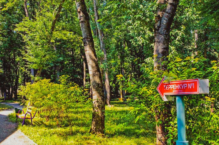 Территория в санатории Лесной в городе Железноводске - фотография