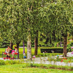 Территория в санатории Лесной в городе Железноводске - фотография