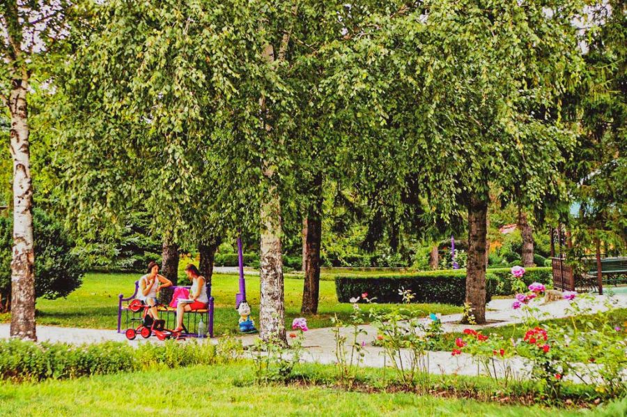 Территория в санатории Лесной в городе Железноводске - фотография