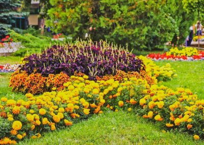 Территория в санатории Лесной в городе Железноводске - фотография