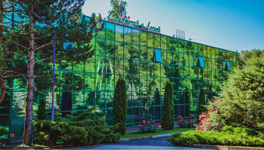 Санаторий Лесной в городе Железноводске - фотография